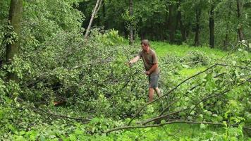 orkanen, tyfoons en tropisch cyclonen zijn de meest krachtig en destructief weer fenomeen Aan aarde en staking meerdere landen in de omgeving van de wereld elke jaar. video