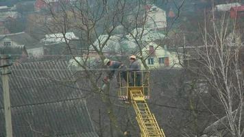 travailler sur une machine spéciale couper des branches d'arbres video