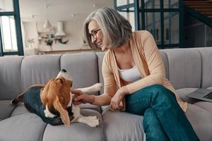 Smiling senior woman in casual clothing spending time with her dog while sitting on the sofa at home photo