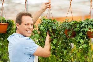 Man in a greenhouse. Rear view of handsome mature man in apron holding plant and looking at camera while standing in a greenhouse photo