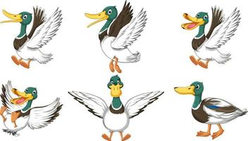 Set of duckling doing different activities vector