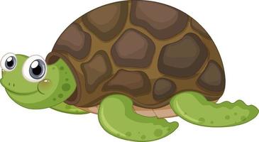 Cute turtle cartoon character on white background vector