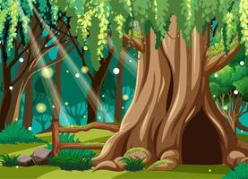 Fantasy fairy forest background vector