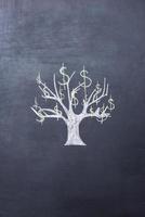 Money tree.  Picture of money tree drawn on the blackboard photo