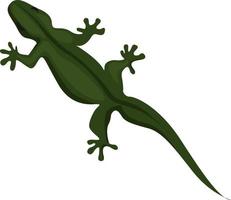 Lagarto verde, ilustración, vector sobre fondo blanco.