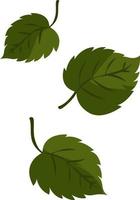 Three green leaves, illustration, vector on white background.