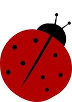 Flat ladybug, illustration, vector on white background.