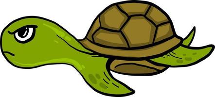 Angry green turtle, illustration, vector on white background.