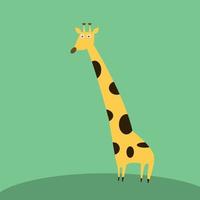 Big giraffe, illustration, vector on white background.