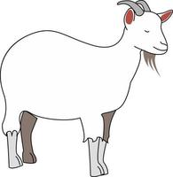 Goat with horns, illustration, vector on white background.