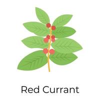Trendy Red Current vector