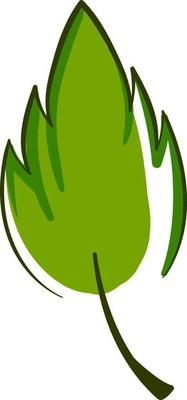 Green leaf, illustration, vector on white background
