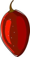 Red  tamarillo, illustration, vector on white background.