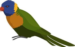 Coconut lorikeet, illustration, vector on white background