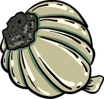 Garlic from the back, illustration, vector on white background