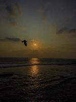 Sunset at the beach. photo