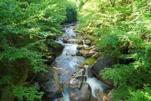 Flowing stream in Maine photo