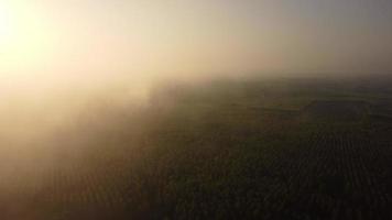 vista aérea del cielo y la luz del sol durante el hermoso amanecer con nubes y niebla por la mañana. fondo de cielo natural temprano en la mañana en las montañas video