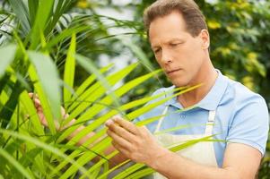 trabajando con plantas. apuesto hombre maduro en uniforme trabajando cerca de las plantas en maceta foto