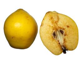 Juicy quince. Fruit on a white background. Ripe useful product. photo