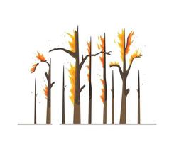 Vector illustration of burned trees. Dry burning trees isolated on white background.