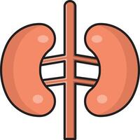 kidney vector illustration on a background.Premium quality symbols.vector icons for concept and graphic design.