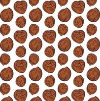 Seamless vector pattern with linear outline hazelnut. Sketches of nuts in vintage style