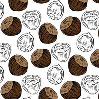 Seamless vector pattern with linear outline hazelnut. Sketches of nuts in vintage style