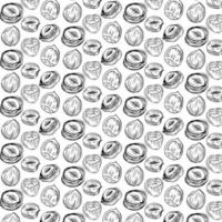 Seamless vector pattern with linear outline hazelnut. Sketches of nuts in vintage style