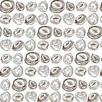 Seamless vector pattern with linear outline hazelnut. Sketches of nuts in vintage style