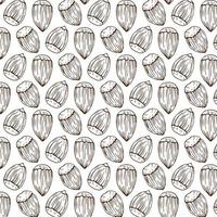 Seamless vector pattern with linear outline hazelnut. Sketches of nuts in vintage style