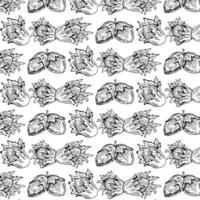 Seamless vector pattern with linear outline hazelnut. Sketches of nuts in vintage style