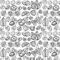 Seamless vector pattern with linear outline hazelnut. Sketches of nuts in vintage style