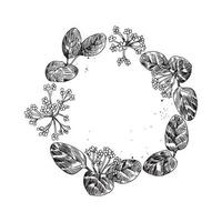 Monochrome of wreaths in sketch style vector