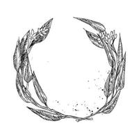 Monochrome of wreaths in sketch style vector