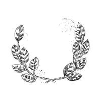 Monochrome of wreaths in sketch style vector