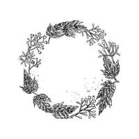 Monochrome of wreaths in sketch style vector