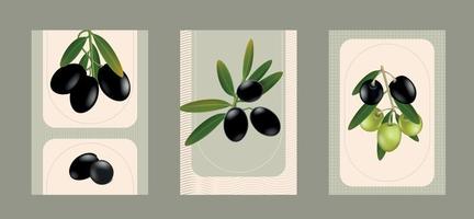 Olives Compositions Set vector