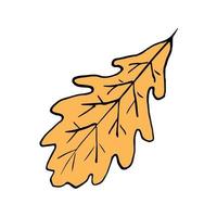 Hand-drawn vector color sketch. Dry yellow-brown oak leaf isolated on white background. For autumn design.