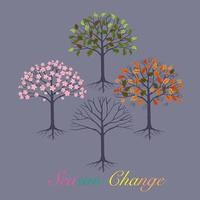 Vector of four seasonal trees, graphic drawing of Spring Summer Autumn Winter on grey background with Season Change texts