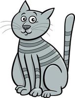 cartoon gray tabby cat comic animal character vector