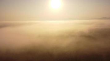 antenne visie van lucht en zonlicht gedurende mooi zonsopkomst met wolken en mist in de ochtend. natuurlijk lucht achtergrond in de vroeg ochtend- in de bergen video