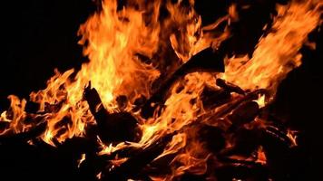 eldslågor på svart bakgrund, flamma eld flamma textur bakgrund, vackert, elden brinner, eld lågor med ved och kogödsel bål video