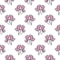 Romantic pink flower ,seamless pattern on white background. vector