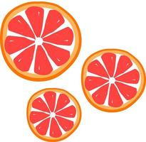 Grapefruit slice, illustration, vector on white background.