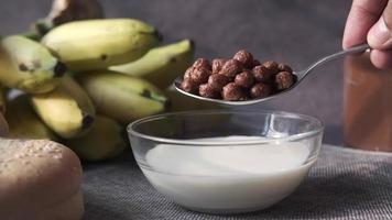 cereal de cacao en una cuchara, un bol con yogur video