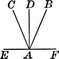 Adjacent Angles, vintage illustration. vector