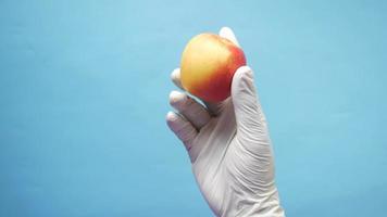 steril handskar hand innehar en röd äpple i främre av en blå bakgrund video