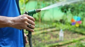 homme utilisant un tuyau pour arroser un jardin video