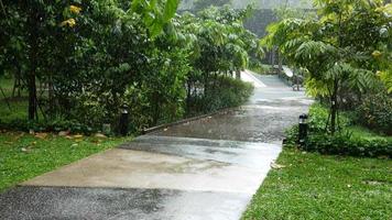 Regentag im Park video